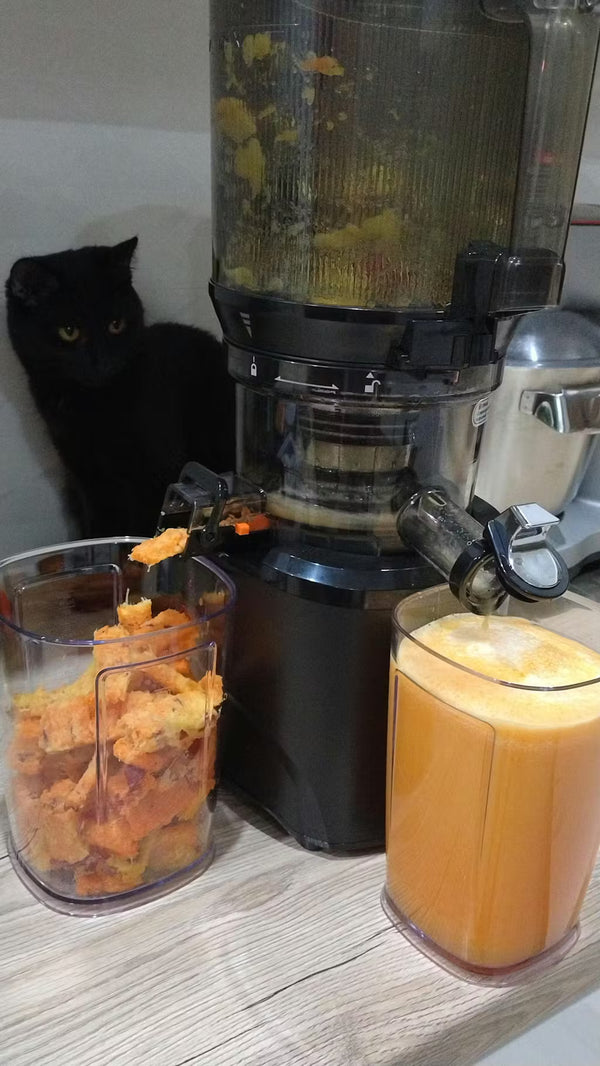 ZESTAW: Wyciskarka wolnoobrotowa Kuvings Auto10S + 3 dzbanki - Jacek Strauhs review photo